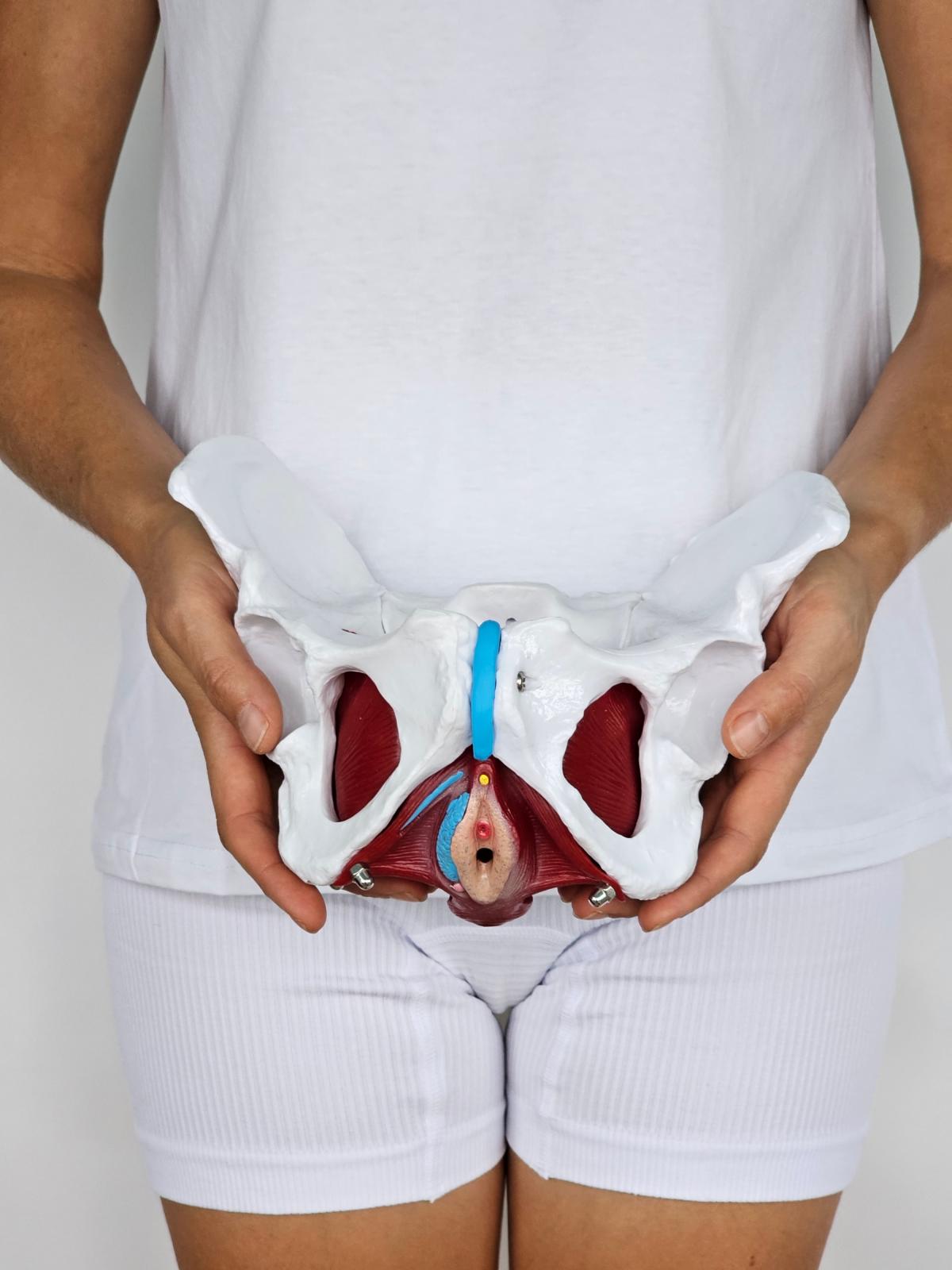 gynecological-physios-02